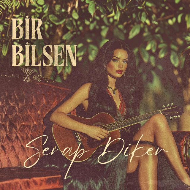 Bir Bilsen artwork